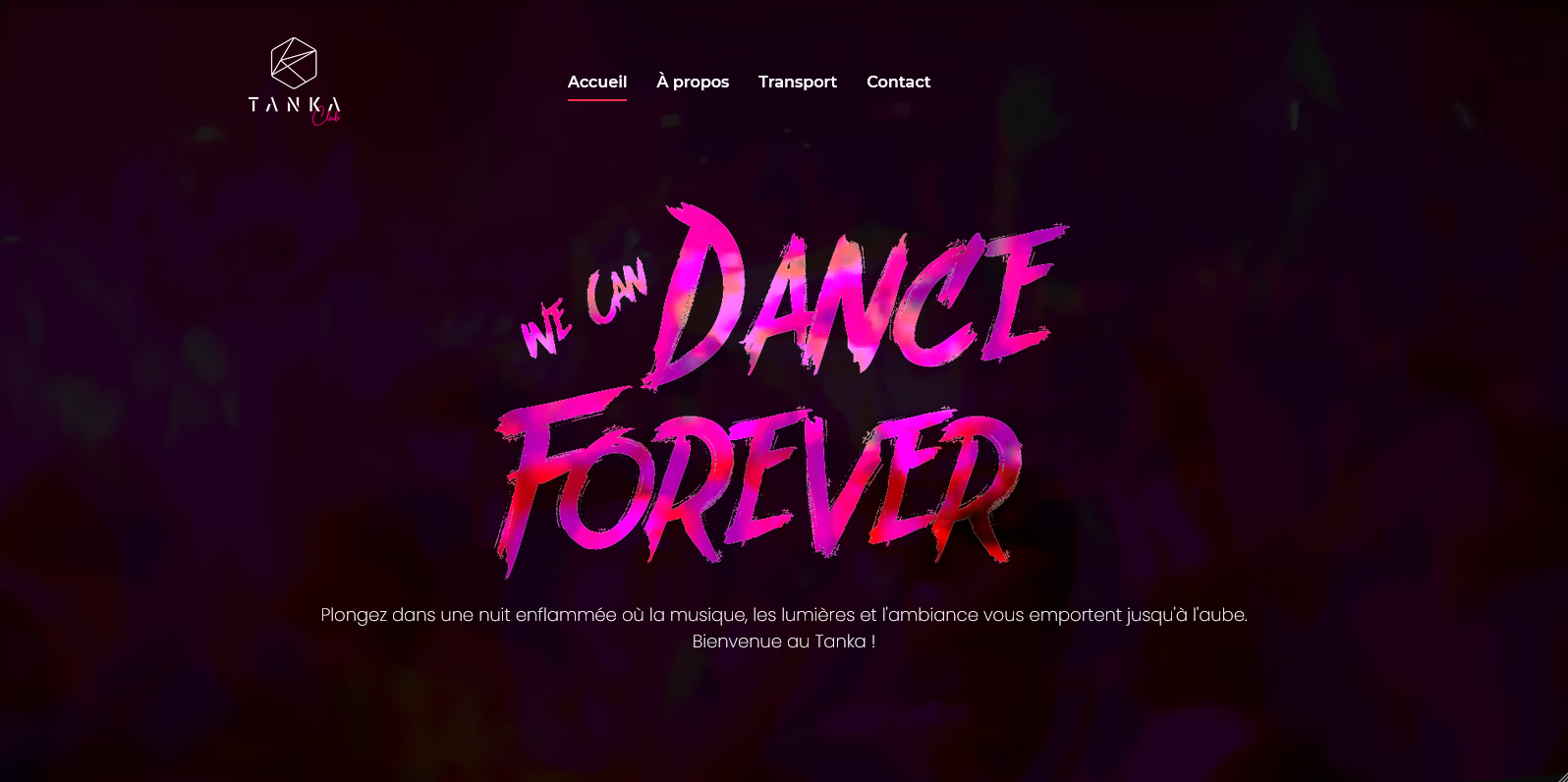 Site vitrine boite de nuit 1